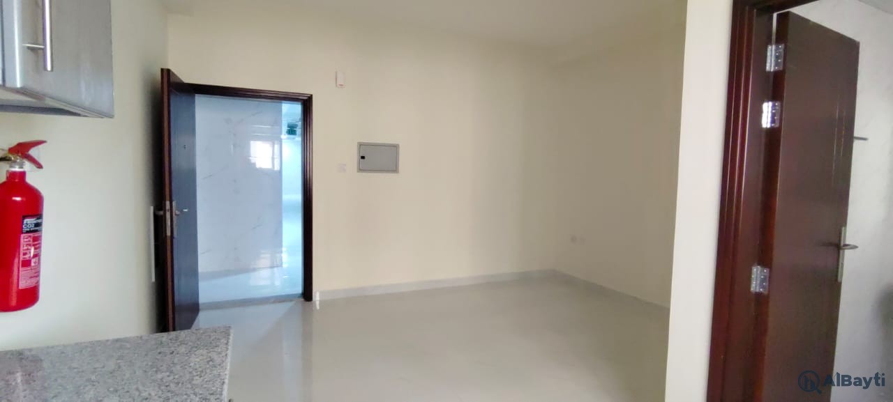 Studios in a new building. The first inhabitant, a separate kitchen-2